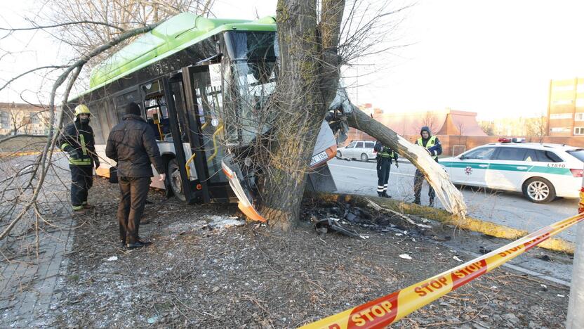 Kraupi avarija Klaipėdoje: autobusas rėžėsi į medį, sužeisti keleiviai 