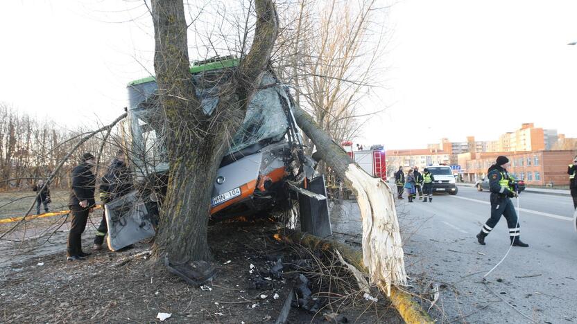 Kraupi avarija Klaipėdoje: autobusas rėžėsi į medį, sužeisti keleiviai 