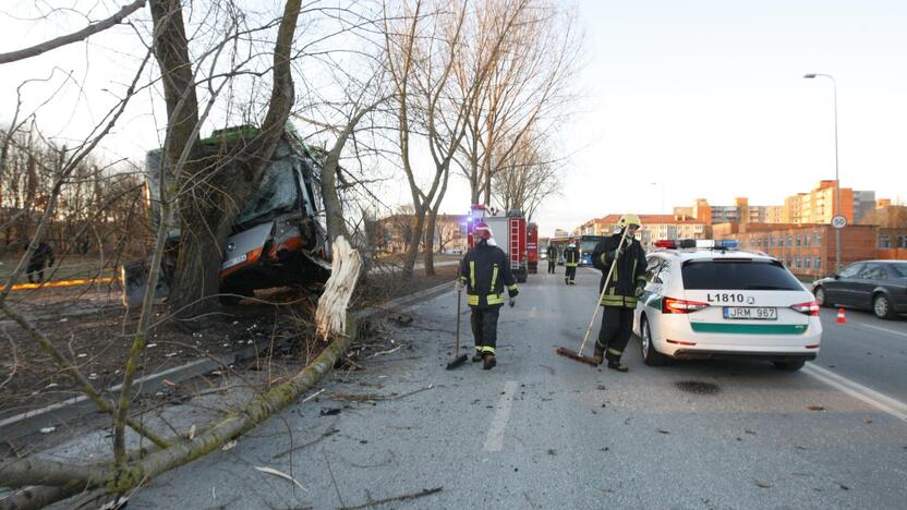 Kraupi avarija Klaipėdoje: autobusas rėžėsi į medį, sužeisti keleiviai 