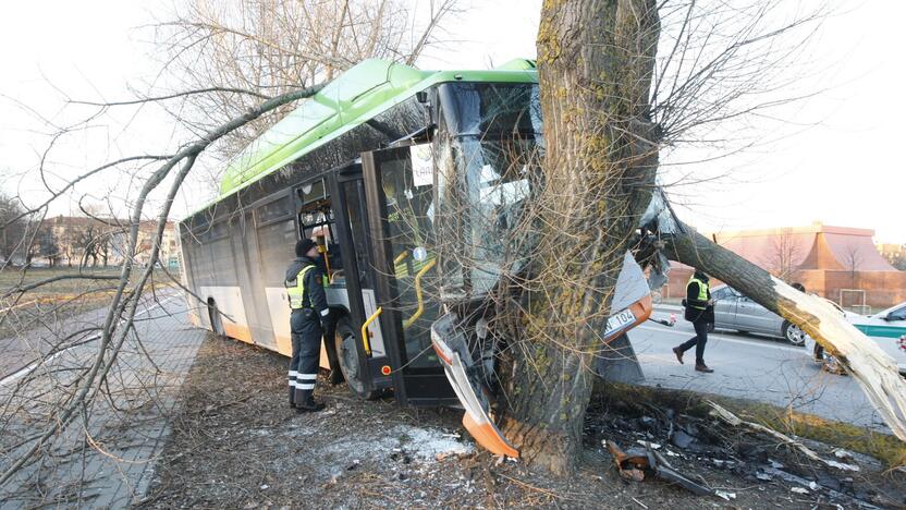 Kraupi avarija Klaipėdoje: autobusas rėžėsi į medį, sužeisti keleiviai 