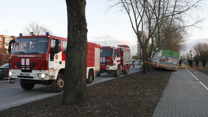 Kraupi avarija Klaipėdoje: autobusas rėžėsi į medį, sužeisti keleiviai 