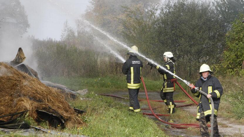 Klaipėdos rajone liepsnoja šieno prikrautas angaras