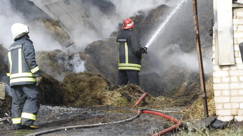 Klaipėdos rajone liepsnoja šieno prikrautas angaras