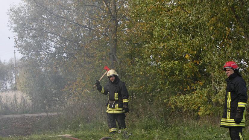 Klaipėdos rajone liepsnoja šieno prikrautas angaras