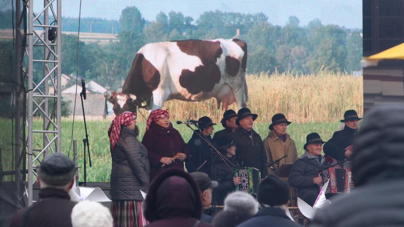 Kaziuko mugė Klaipėdoje 2019