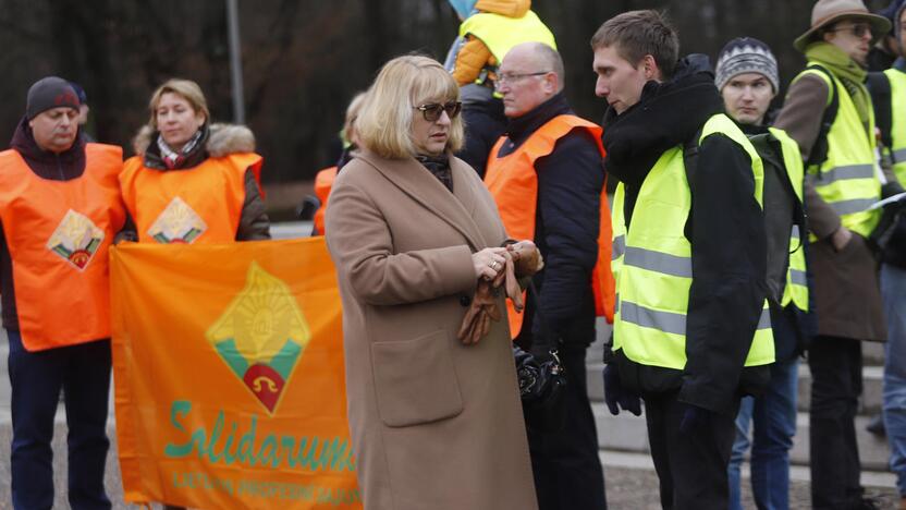 S. Dariaus ir S. Girėno stadioną stačiusių turkų protesto akcija