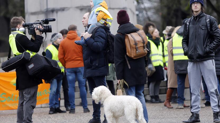 S. Dariaus ir S. Girėno stadioną stačiusių turkų protesto akcija