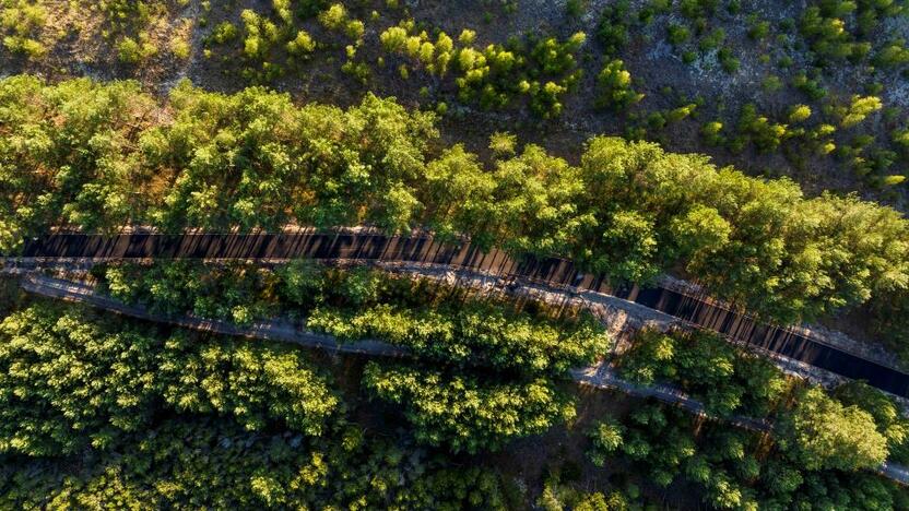 Teismas: už statybinių atliekų išpylimą Kuršių nerijoje siūloma skirti 260 tūkst. eurų baudų.