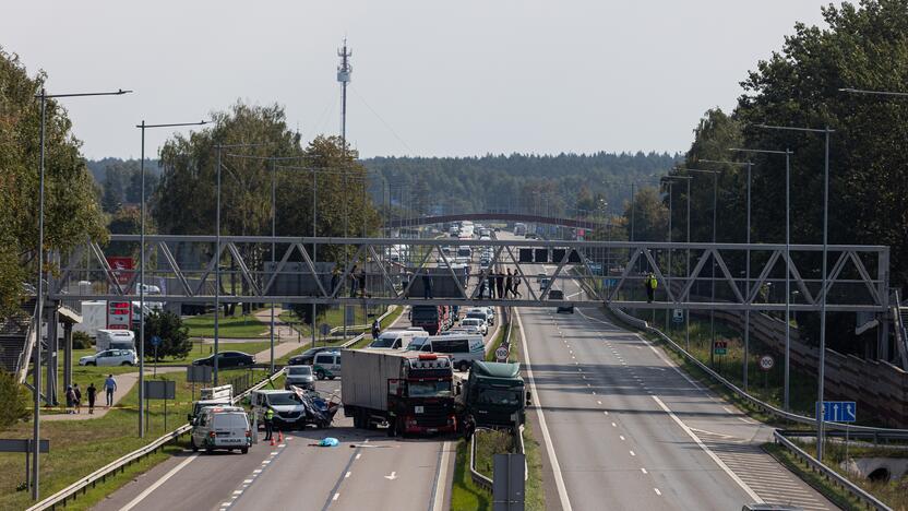 Žiauri avarija ties Vieviu: susidūrė du vilkikai, vienas jų užmušė kelininką