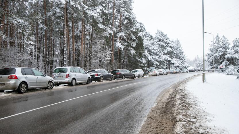 Su rogėmis ir čiuožynėmis kauniečiai šturmavo parkus ir miškus