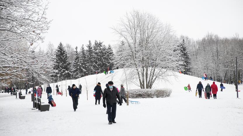 Su rogėmis ir čiuožynėmis kauniečiai šturmavo parkus ir miškus