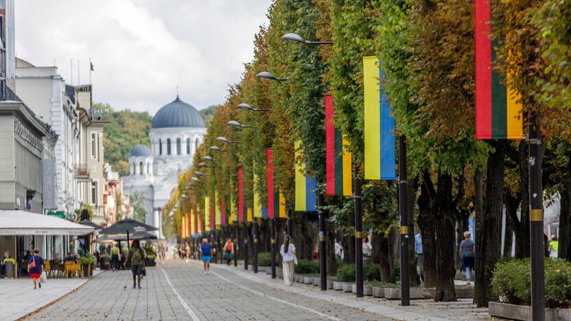 Laisvės alėjoje iškabintos Lietuvos ir Ukrainos vėliavos