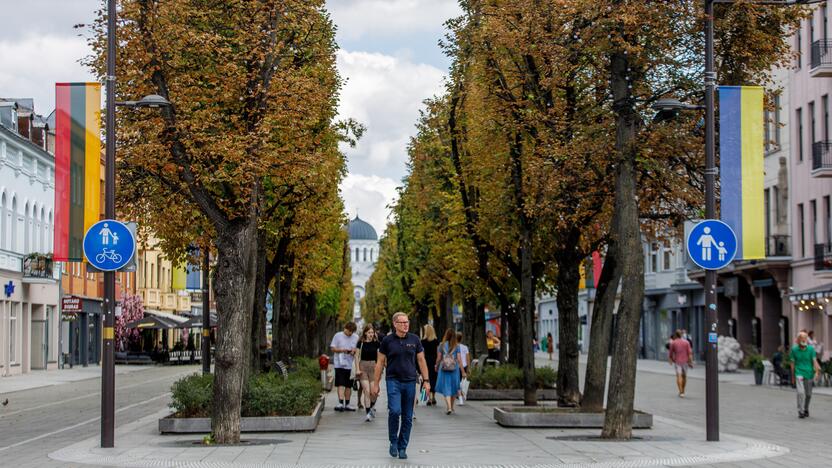 Laisvės alėjoje iškabintos Lietuvos ir Ukrainos vėliavos