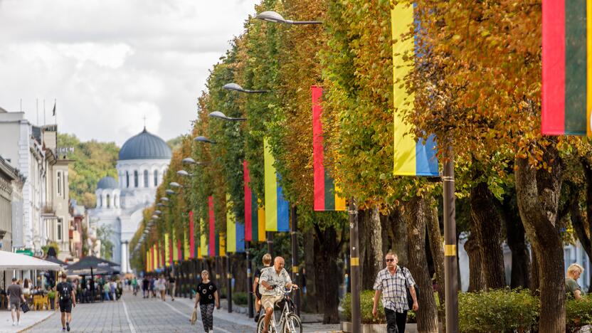 Laisvės alėjoje iškabintos Lietuvos ir Ukrainos vėliavos