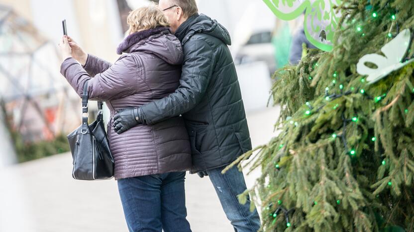 Šeštadienis Rotušės aikštėje