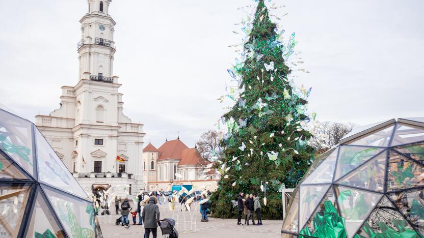 Šeštadienis Rotušės aikštėje