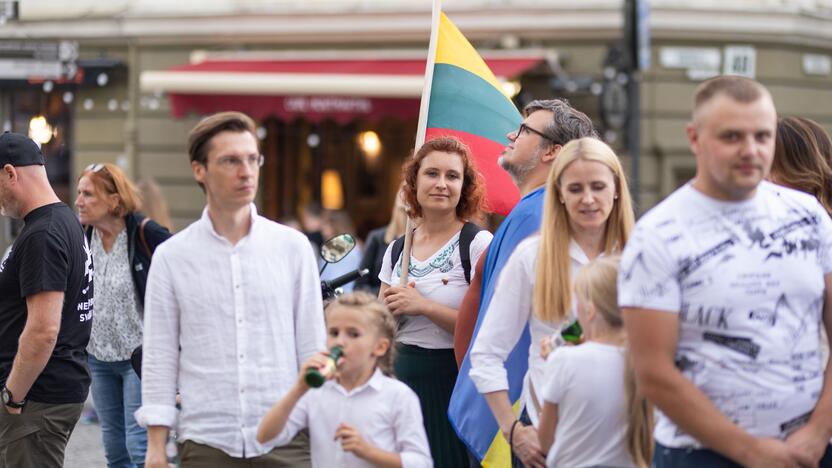 Triumfo eisena  nuo Aušros vartų iki Valdovų rūmų 