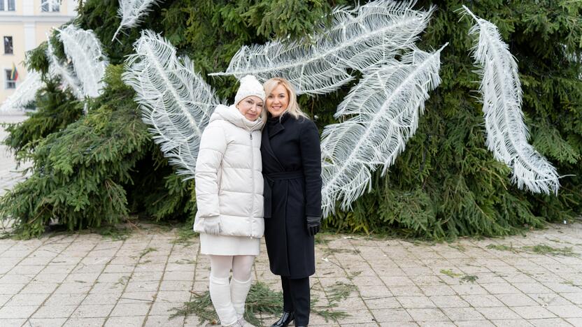 Pristatyta Kauno kalėdinė eglutė 