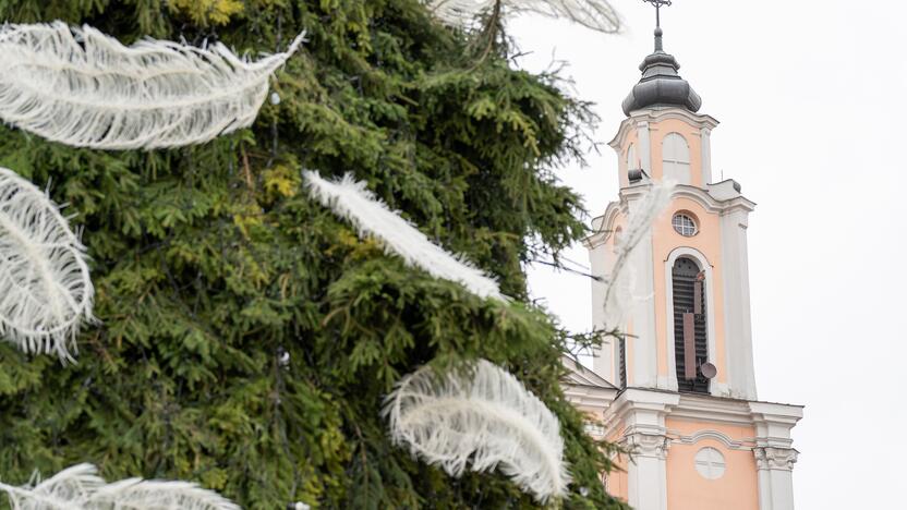 Pristatyta Kauno kalėdinė eglutė 