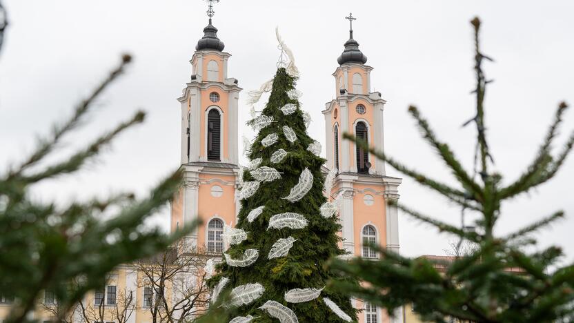 Pristatyta Kauno kalėdinė eglutė 