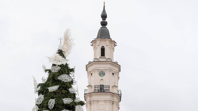 Pristatyta Kauno kalėdinė eglutė 