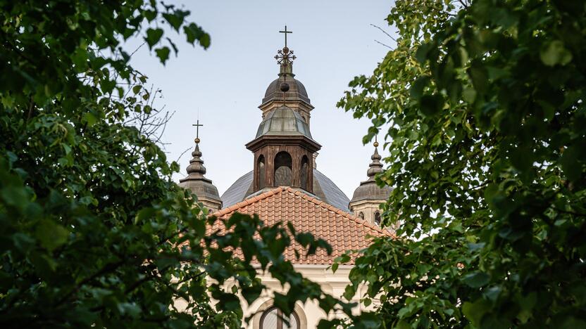 Pažaislio liepų alėjos koncertas 