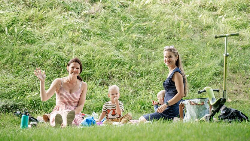 Kauniečius į Pelėdų kalną subūrė tradicinis „Meno piknikas“