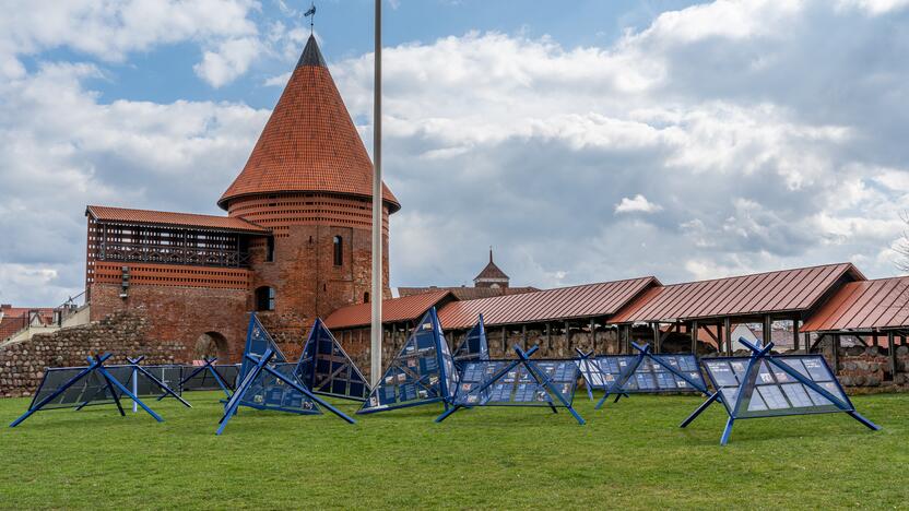 20 metų – kartu su NATO (vėliavos pakėlimas Kaune)