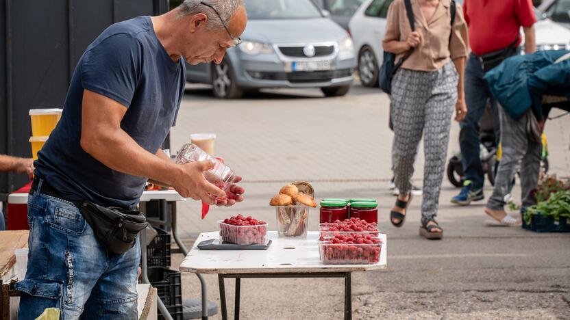 Kauno turgavietėse pridygo baravykų