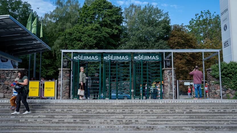 Lietuvos zoologijos sode – naujokas tinginys