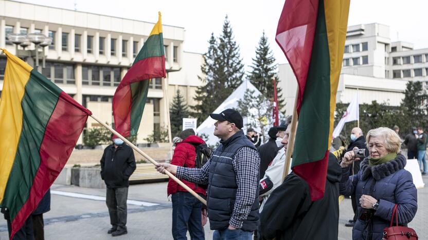 Prie Seimo – A. Jakubausko palaikymo mitingas