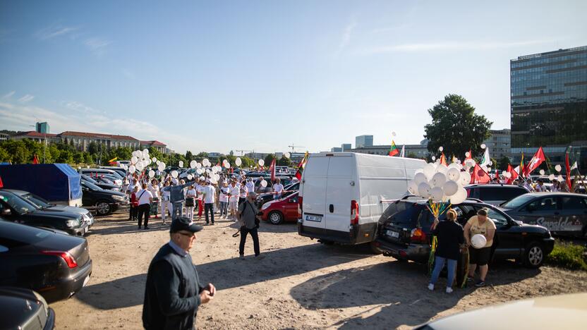 Šeimų maršo protestas prie Seimo