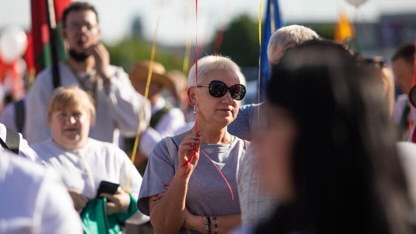 Šeimų maršo protestas prie Seimo