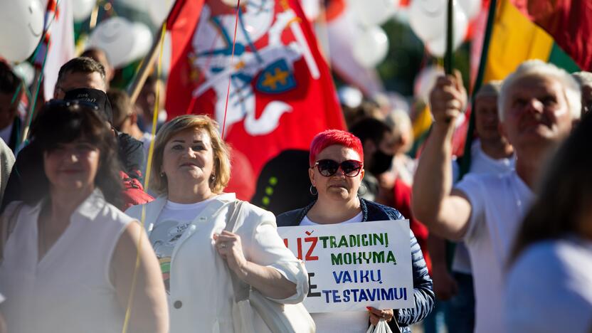 Šeimų maršo protestas prie Seimo