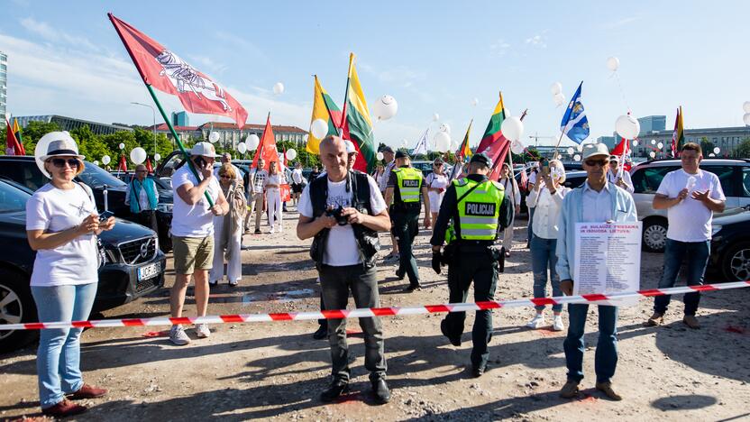 Šeimų maršo protestas prie Seimo