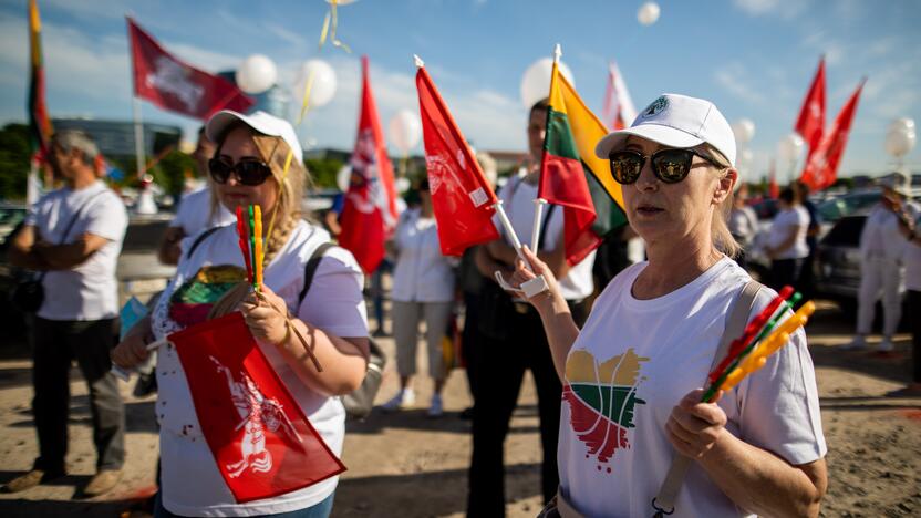 Šeimų maršo protestas prie Seimo