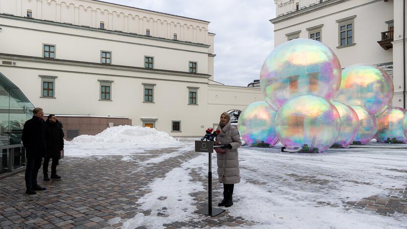 Vilniaus miesto 699-ojo gimtadienio pristatymas