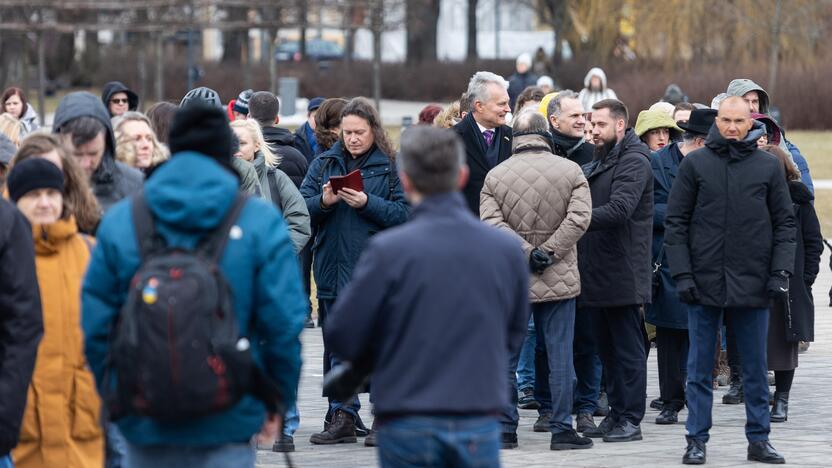 Tęsiasi išankstinis balsavimas savivaldos rinkimuose