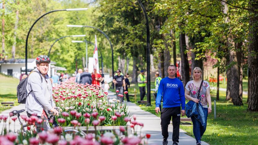 Didysis šeimos gynimo maršas Druskininkuose