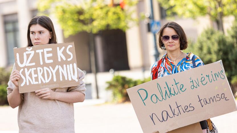 Protestas prieš naktinių taikiklių įteisinimą medžioklėje