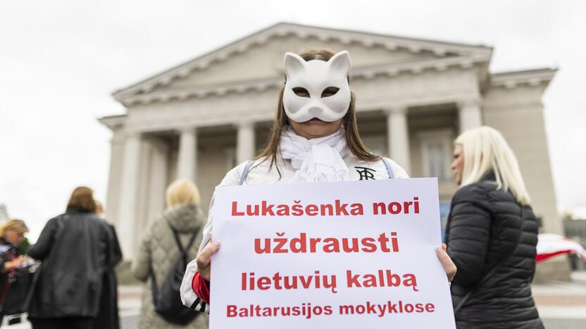 Protesto akcija prieš nacionalinių mokyklų uždarymą Baltarusijoje