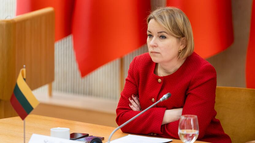 Užsienio reikalų viceministrė Jovita Neliupšienė