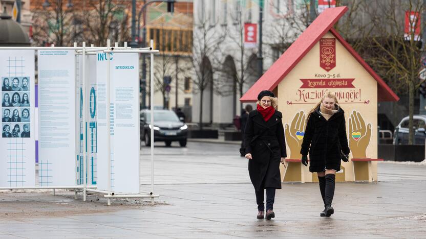 Tęsiasi išankstinis balsavimas savivaldos rinkimuose