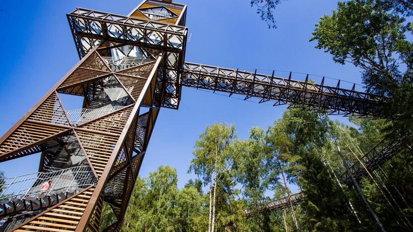 Anykščių regioninio parko medžių lajų takas