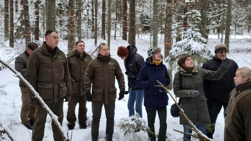 Apsilankė: miškininkai parodė kenkėjų pažeistas teritorijas.