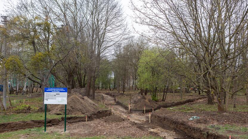 Darbai: Naujakurių parke bus įrengti mediniai takai, atsiras mažoji infrastruktūra.