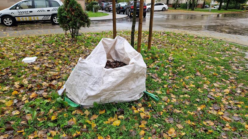 Klausimai: policijos pareigūnai nupjautų kojų ieškojo ir tarp nukritusių lapų.