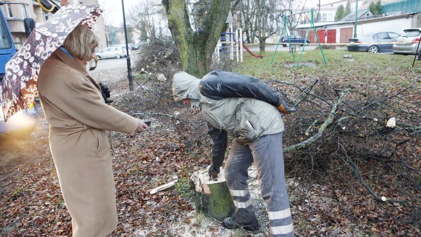 Ginčai: želdinių komisijos nariams neretai tenka laviruoti tarp reiškiamų kardinaliai priešingų nuomonių.