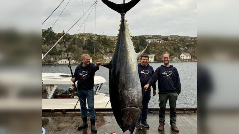 Laimikis: A. Asheimo (centre) su draugais B. Furre ir G. Age ištrauktas didžiausias Norvegijos tunas svėrė 448,5 kilogramo.