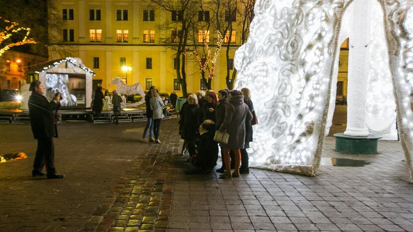 Kauniečiai apžiūrinėja Rotušės aikštės eglutę